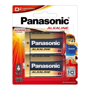 PANASONIC D TYPE