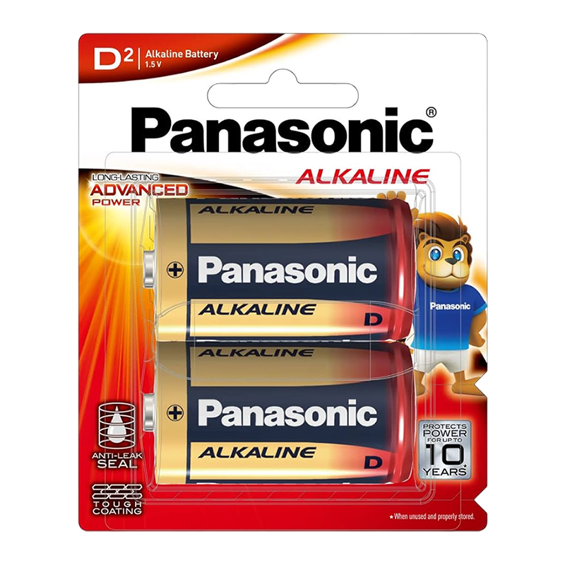 PANASONIC D TYPE