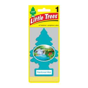 LITTLE TREES_RAINFOREST