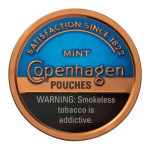 COPENHAGEN POUCHES - MINT