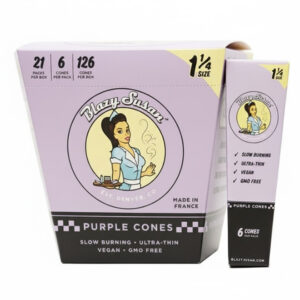 BLAZY SUSAN PURPLE CONES 1.25 SIZE - 6 CONES PER PACK